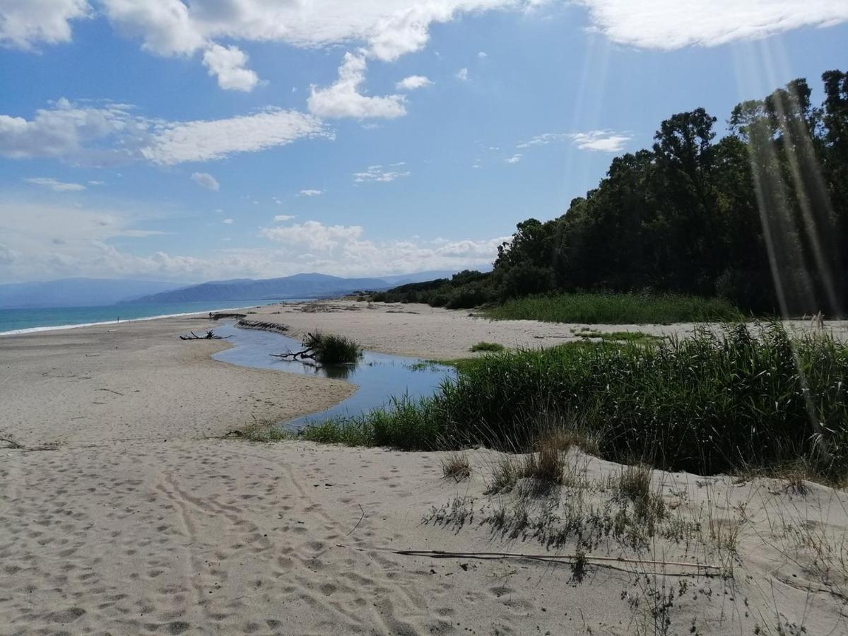 B E B Le Terrazze Sul Mare Bed & Breakfast Катандзаро Екстериор снимка